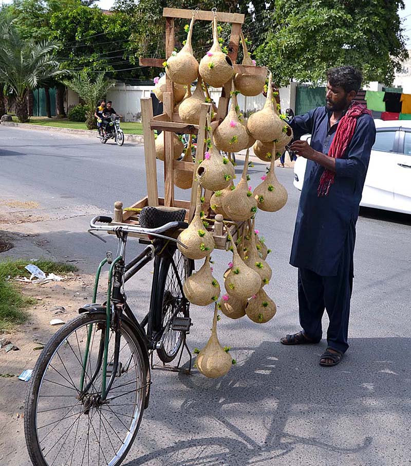 A shopkeeper displays bird's nests on his bicycle to attract customers