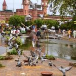 People throwing food for pigeons as mercy near Railway station.