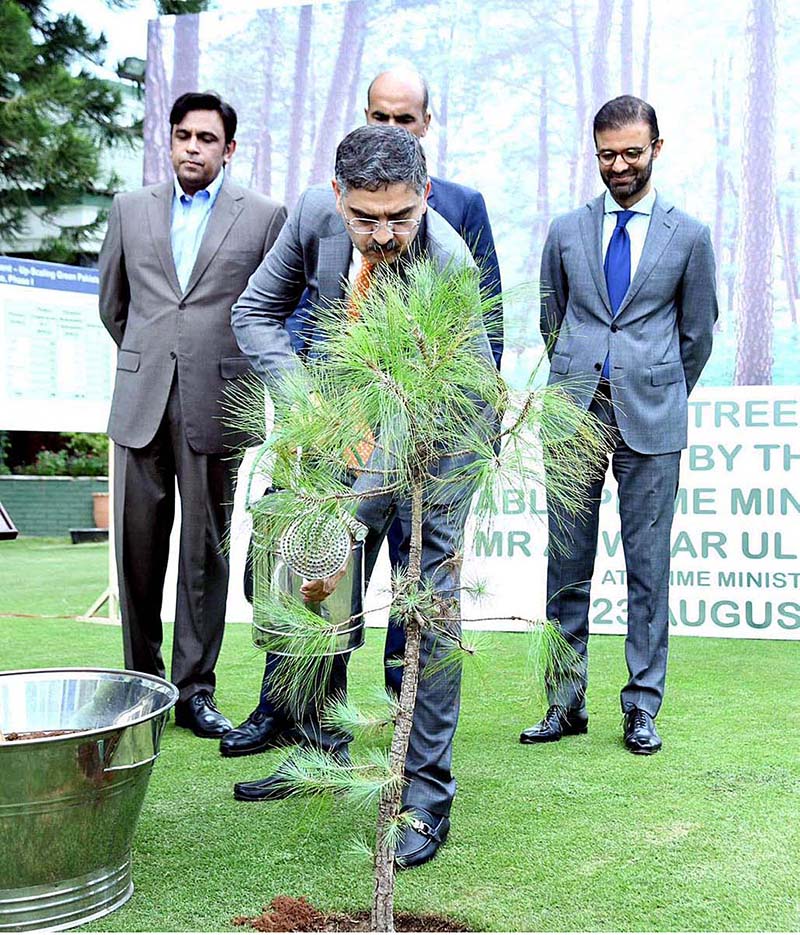 Caretaker Prime Minister Anwaar-ul-Haq Kakar plants a sapling to launch monsoon tree plantation as part of the "Green Pakistan Programme 2023