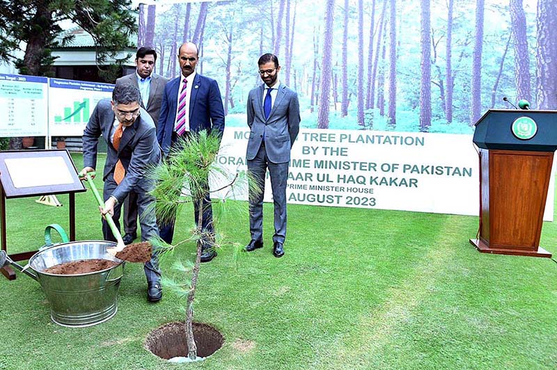Caretaker Prime Minister Anwaar-ul-Haq Kakar plants a sapling to launch monsoon tree plantation as part of the "Green Pakistan Programme 2023