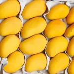 Pakistani mangoes