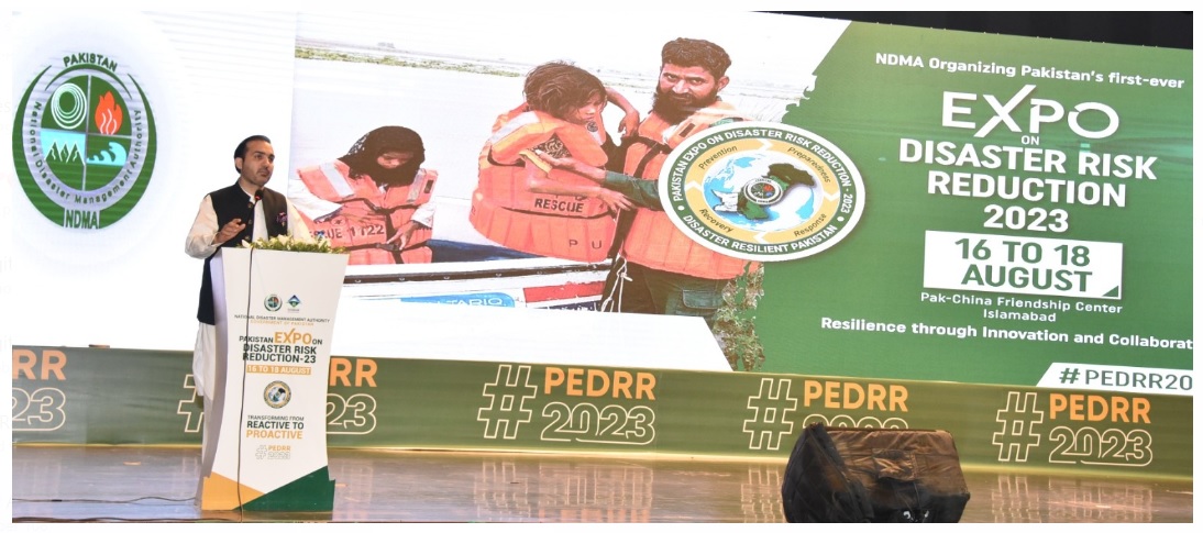 Deputy Chairman Senate