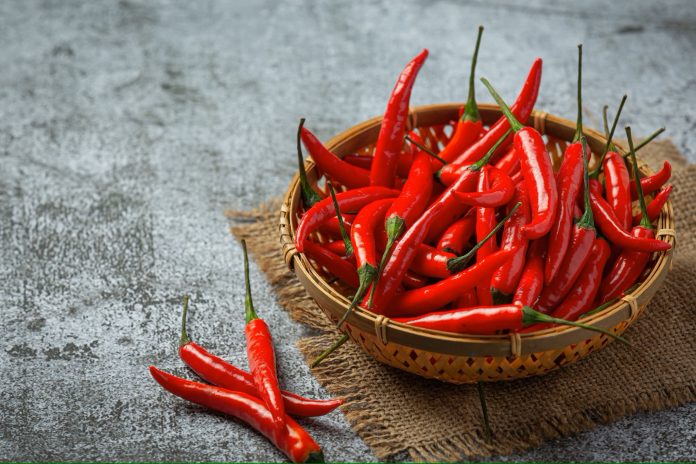 MoU signed to facilitate Pakistani chili export to China
