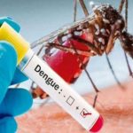 dengue