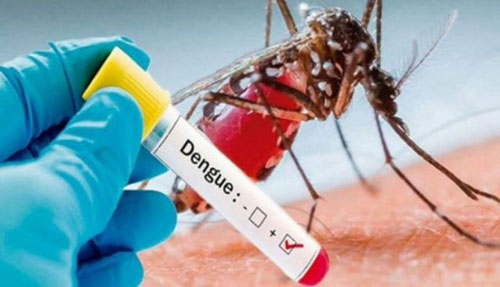 169 new dengue cases reported in a day