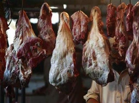 PFA recovers 200 kg unhygienic meat