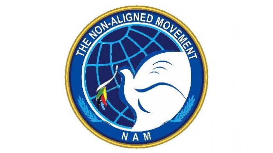 NAM Logo