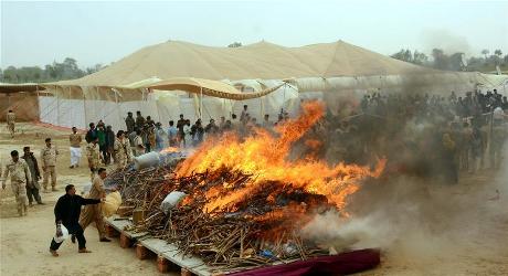 20000 kg of drugs burnt