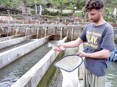 KP’s fisheries potential vital for economic growth