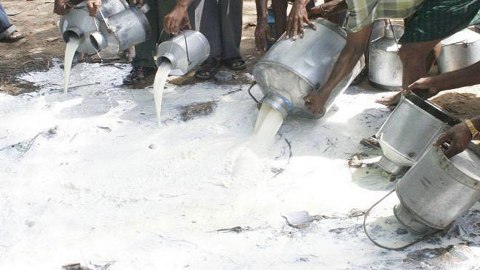 500 litres substandard milk, expired snacks, edible items discarded