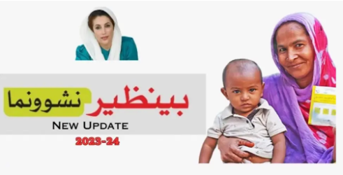 Benazir Nashonuma Program serves over 1081167 women, children