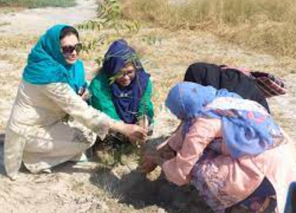 Plantation held at Faisalabad women university