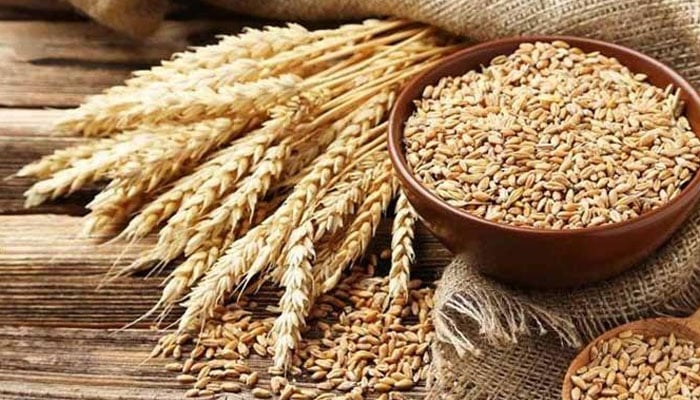 Wheat Consumption of Pakistan