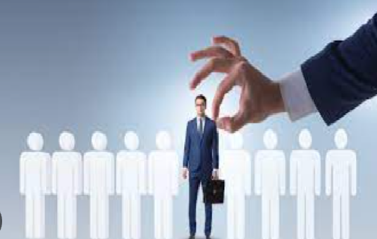 Job portal set up in FCCI