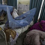 dengue cases