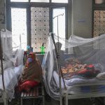 dengue cases updates