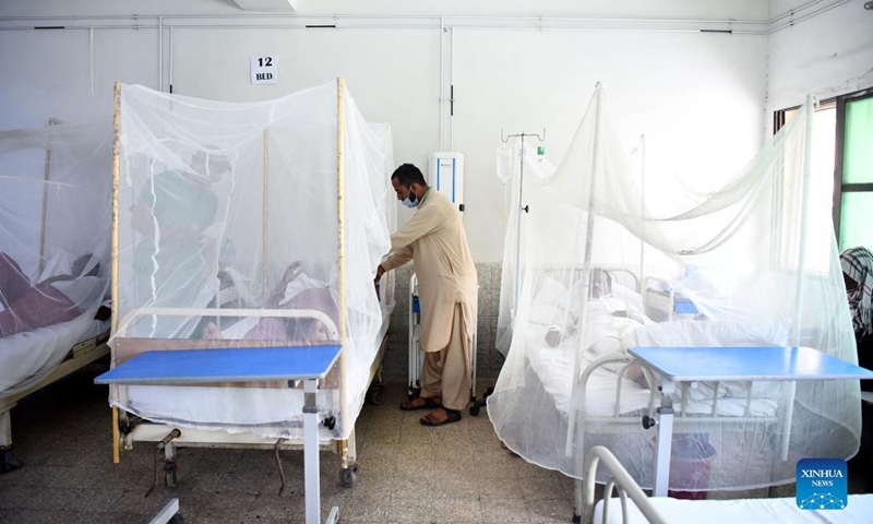dengue