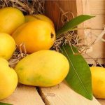 mangos of Pakistan