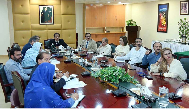 Federal Secretary Health Iftikhar Ali Shallwani chaired high level meeting regarding Global Health Security Summit.
