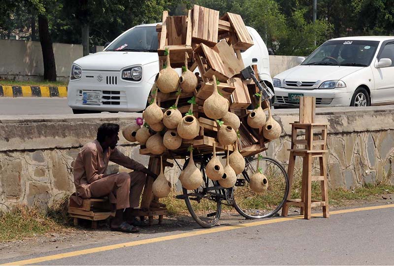 A vendor displaying bird nests and wooden stools to attract customers at his roadside setup in the Federal Capital
