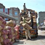 Labourers busy in unloading sacks of onion from delivery truck at Vegetable Market.
