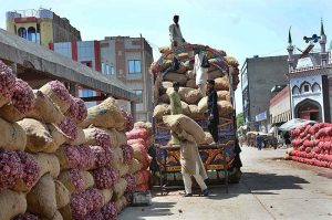 Labourers busy in unloading sacks of onion from delivery truck at Vegetable Market. 