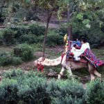 A family enjoying camel ride at famous picnic point Damn-e-Koh in Federal Capital.
