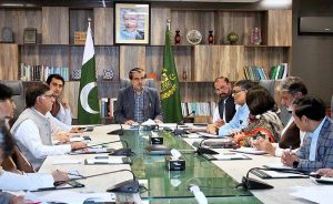 Caretaker Federal Minister for National Heritage and Culture Jamal Shah chairing a meeting regarding revival plan of cultural and literary heritage.