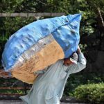 A person on the way while carrying huge bag full of branches of trees for domestic use at Margallah Road in Federal Capital.