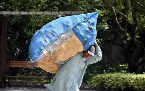  A person on the way while carrying huge bag full of branches of trees for domestic use at Margallah Road in Federal Capital. 