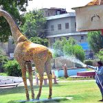 HMC worker busy in showering water on the replica Zebra for washing at Local Park.