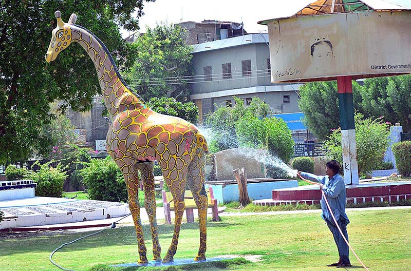 HMC worker busy in showering water on the replica Zebra for washing at Local Park.
