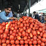 People purchasing tomatoes from a stall at Sunday Bazar Aabparra