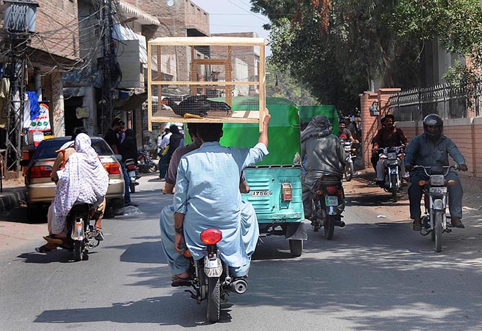 A person carrying a cage on his head while sitting on the rear seat of a motorcycle.