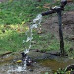 A view of bird enjoy bathing under water tab in the city
