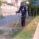 PHA worker busy trimming grass on the green belt at Chungi no 09