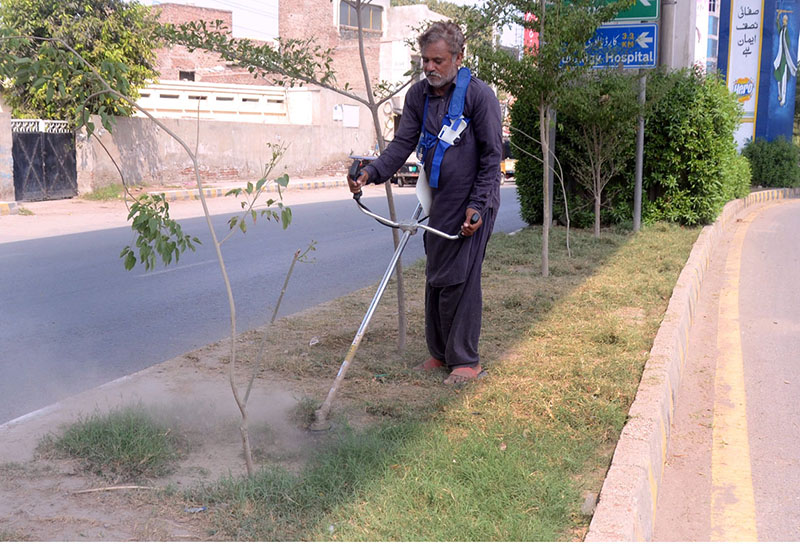 PHA worker busy trimming grass on the green belt at Chungi no 09