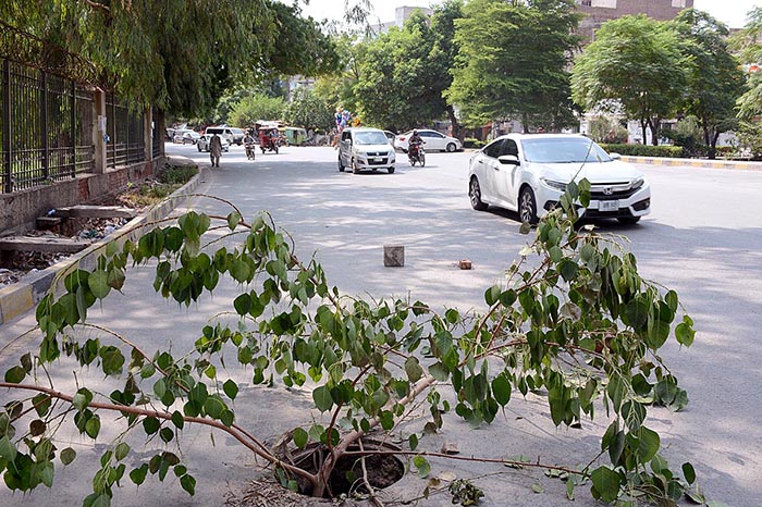 An open manhole at D-Ground which needs the attention of the concerned authority.