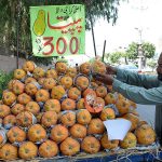 A vendor arranging and displaying seasonal fruit papaya to attract the customers at his roadside setup.