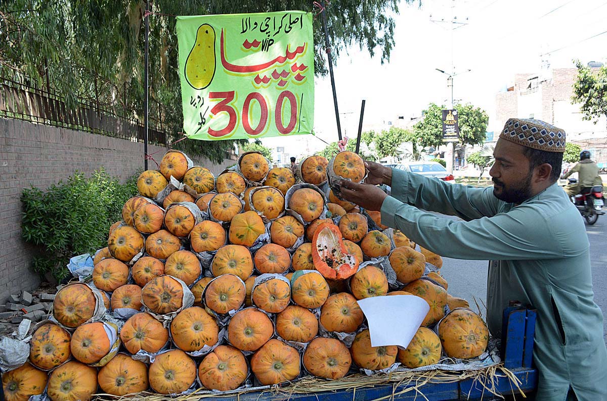 A vendor arranging and displaying seasonal fruit papaya to attract the customers at his roadside setup.