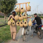 A vendor displaying bird’s nests on his bicycle to attract the customers.