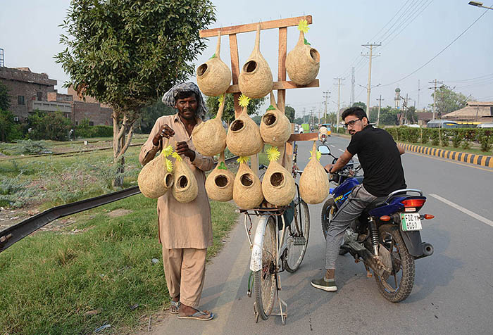 A vendor displaying bird’s nests on his bicycle to attract the customers.