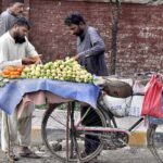 A street vendor displaying fresh fruit on his bicycle in Federal Capital
