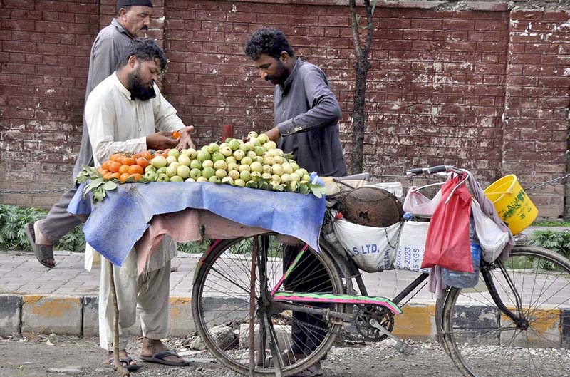 A street vendor displaying fresh fruit on his bicycle in Federal Capital