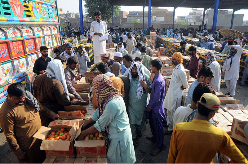 Vendors displaying tomatoes boxes during an auction while shopkeepers participate in bidding at Vegetable Market