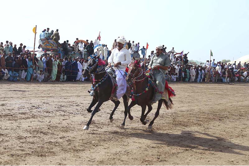 A view of Bull Race near the shrine of Shah Abdul Latif Bhitai on the occasion of 280th Urs celebration.