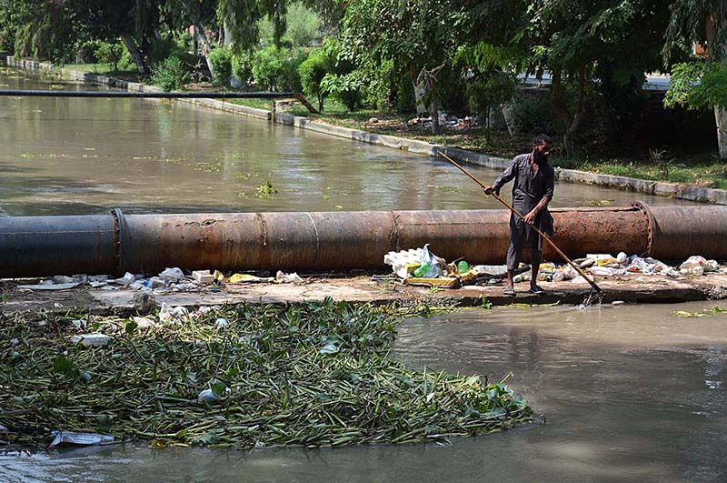 A worker of Irrigation Department cleaning heap of garbage from Rakh Branch Canal.