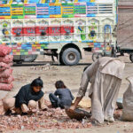 A Family busy sorting good quality onions at Vegetable Market to earn a livelihood.