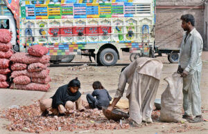 A Family busy sorting good quality onions at Vegetable Market to earn a livelihood.