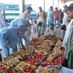 Auction of tomatoes underway at Vegetable and Fruits Market as fresh tomatoes reach the market.